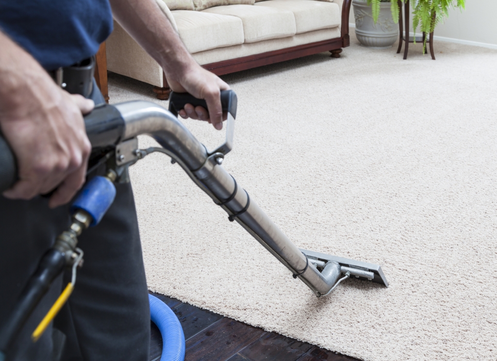 Carpet Cleaning & Shampooing Service NJ, NY, CT