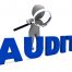 janitorial cleaning audit